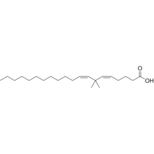 7,7-Dimethyl-(5Z,8Z)-eicosadienoic acid 89560-01-0